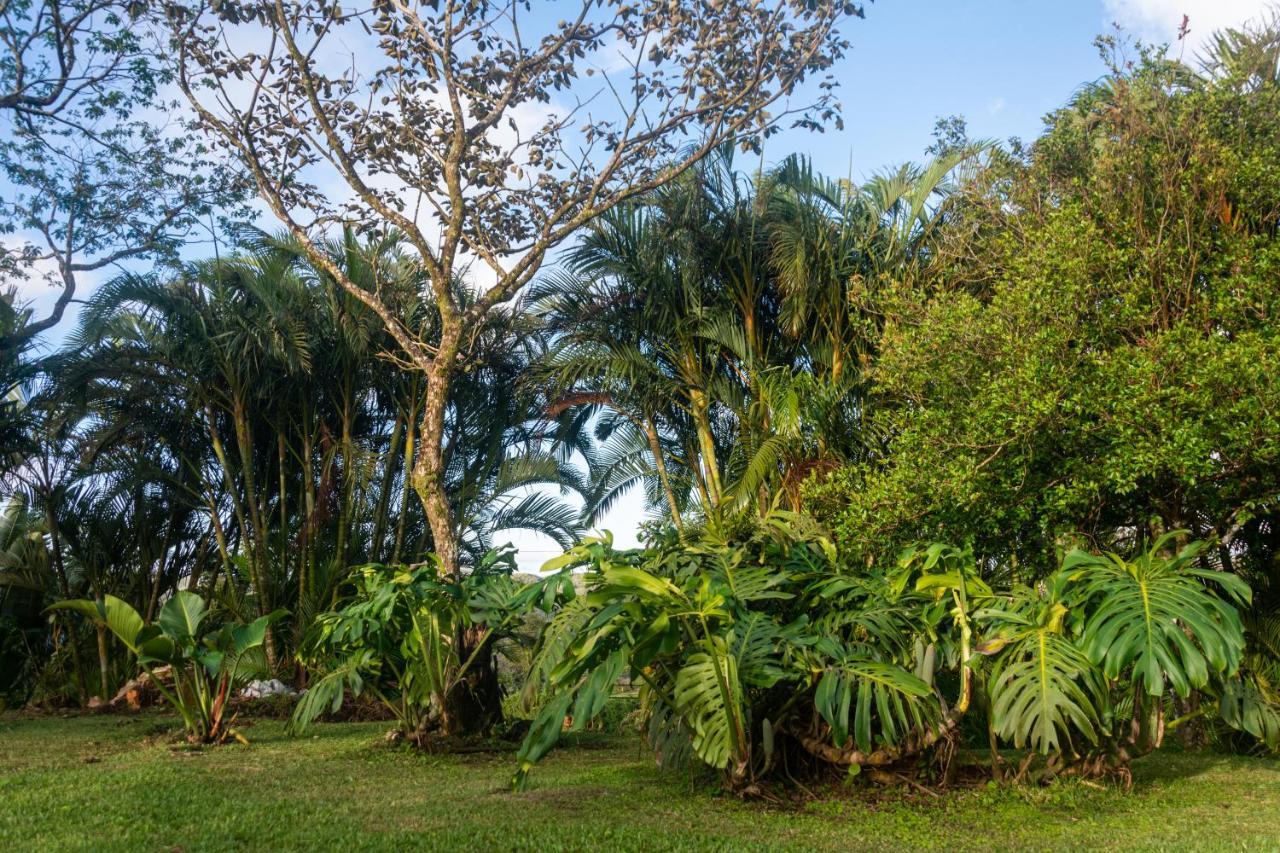 Vista Lago Arenal Piedras Екстериор снимка