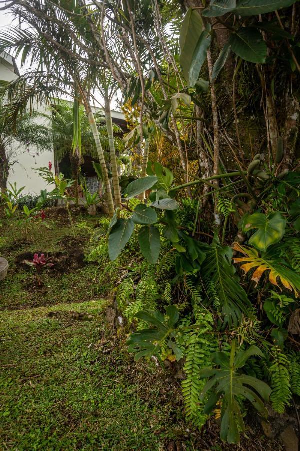 Vista Lago Arenal Piedras Екстериор снимка